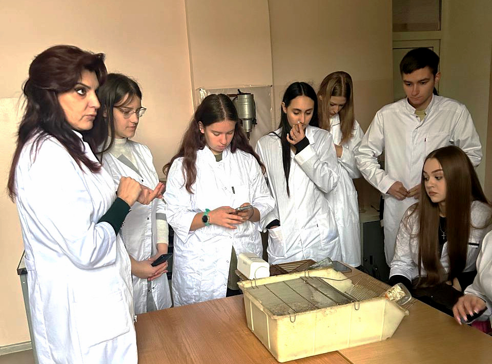 title_691e2de73a3ed17178539051763585511