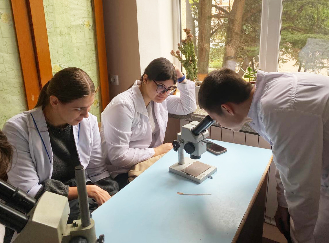 title_691e2de73a4025737807261763585511